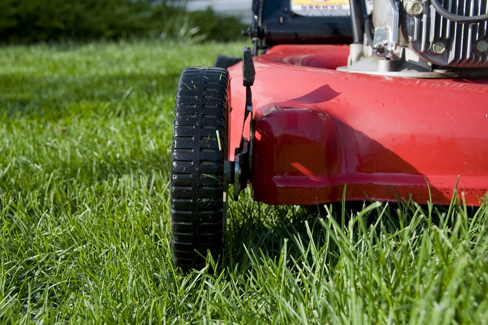 Jak prawidłowo mulczować trawnik?